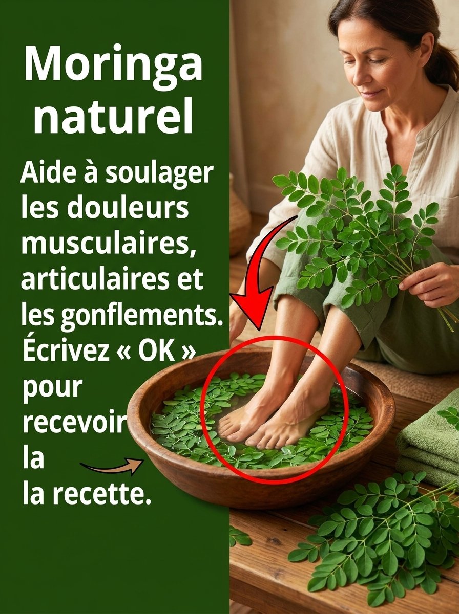 Douleurs Articulaires ? Gonflements ? Goutte ? Découvrez Comment le Moringa Pourrait CIBLER la Racine du Problème (Avant Qu'il Ne Soit Trop Tard !)