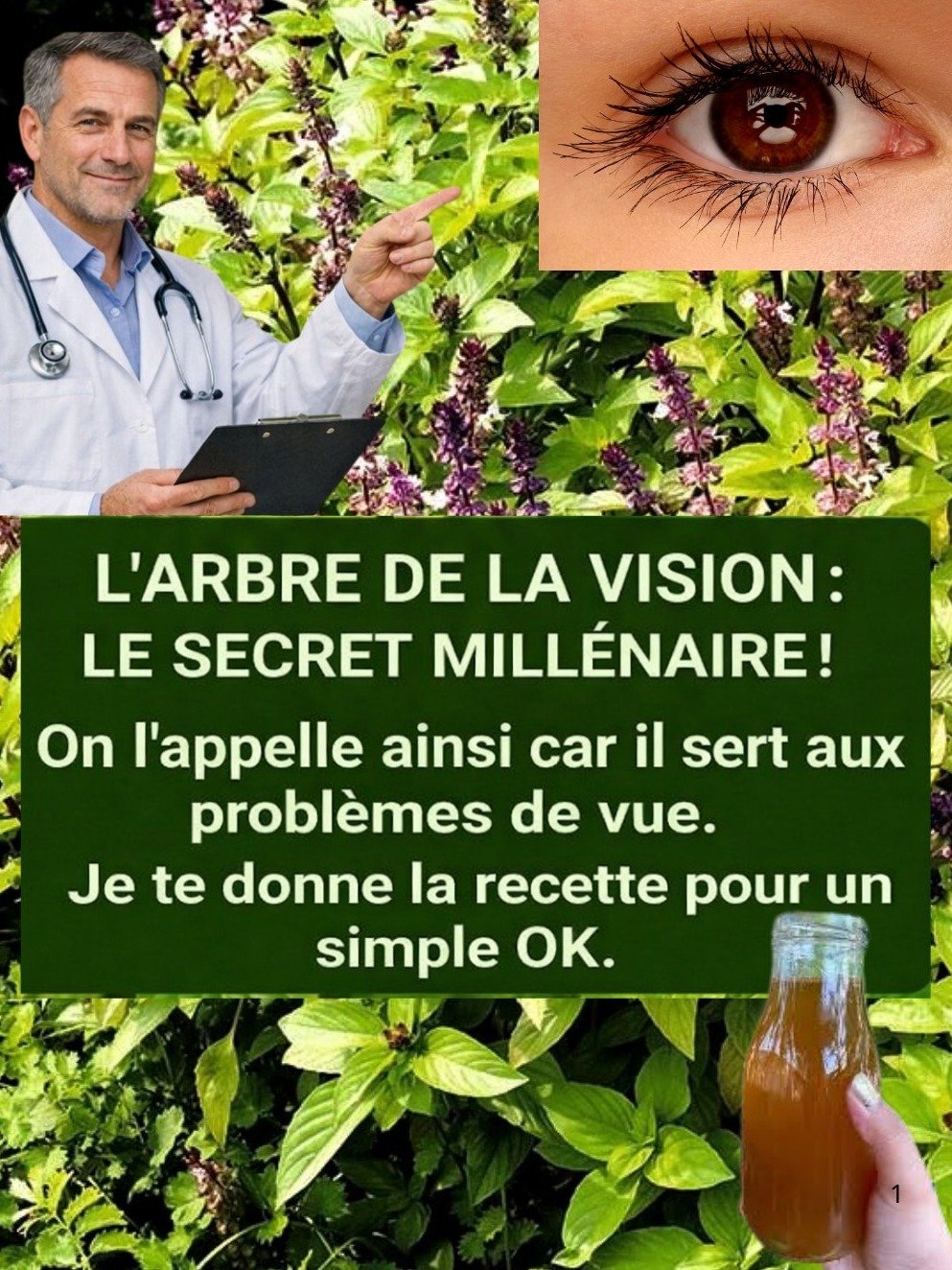 Découvrez l'Arbre de la Vision : Le Secret Naturel pour une Vue Éclatante en SEULEMENT 21 Jours !