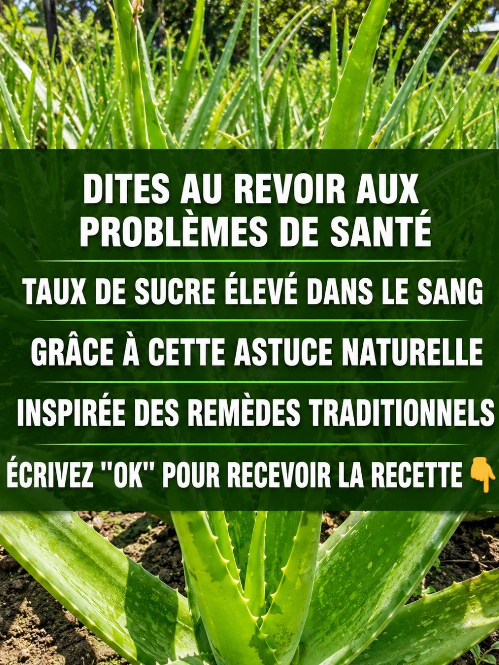Découvrez le Secret Ultime : Cette Boisson Citron-Nopal Va Révolutionner Votre Corps en 7 Jours (Ne Manquez Pas Ça) !
