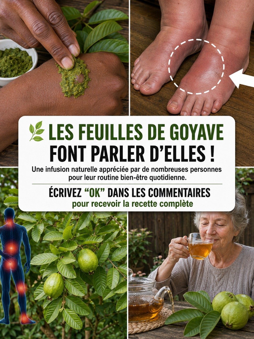 🚨 Le Secret Oublié : Comment les Feuilles de Goyave Vont Éliminer Vos Gonflements, Apaiser Vos Articulations et Dégonfler Votre Corps en Jours !