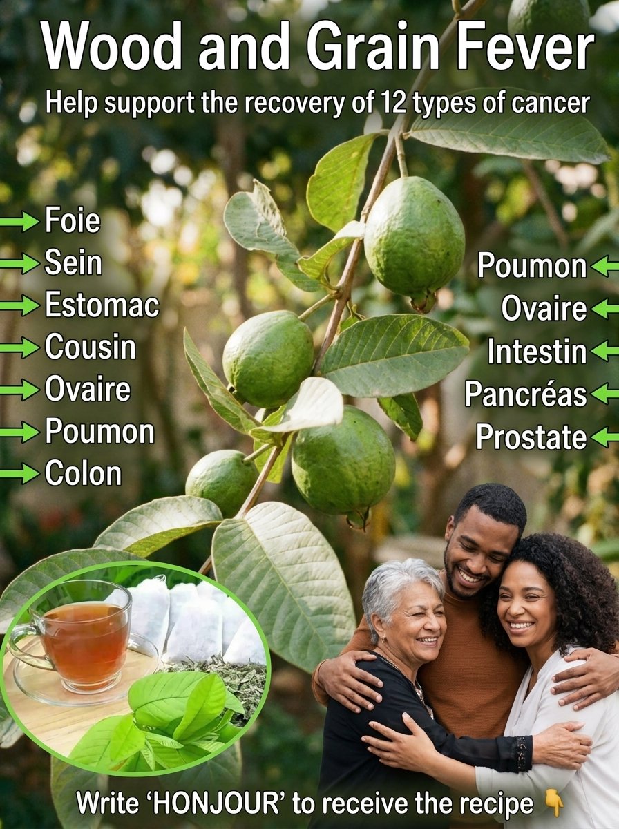 Le Secret Naturel Que Personne Ne Vous Dit : Ce Thé de Feuilles de Goyave Va Booster Votre Santé Quotidienne !