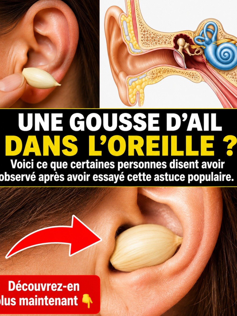 Le Secret Millénaire Révélé : Ce que l'Ail Fait VRAIMENT à Votre Corps (Vous n'en Croirez Pas Vos Yeux !) 🧄✨