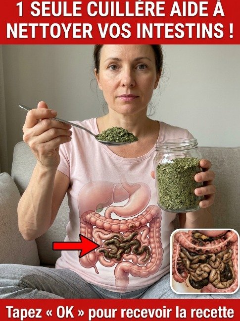 Le Secret Insoupçonné : UNE Cuillère d'Origan Va Révolutionner Votre Côlon en Seulement 5 Jours !