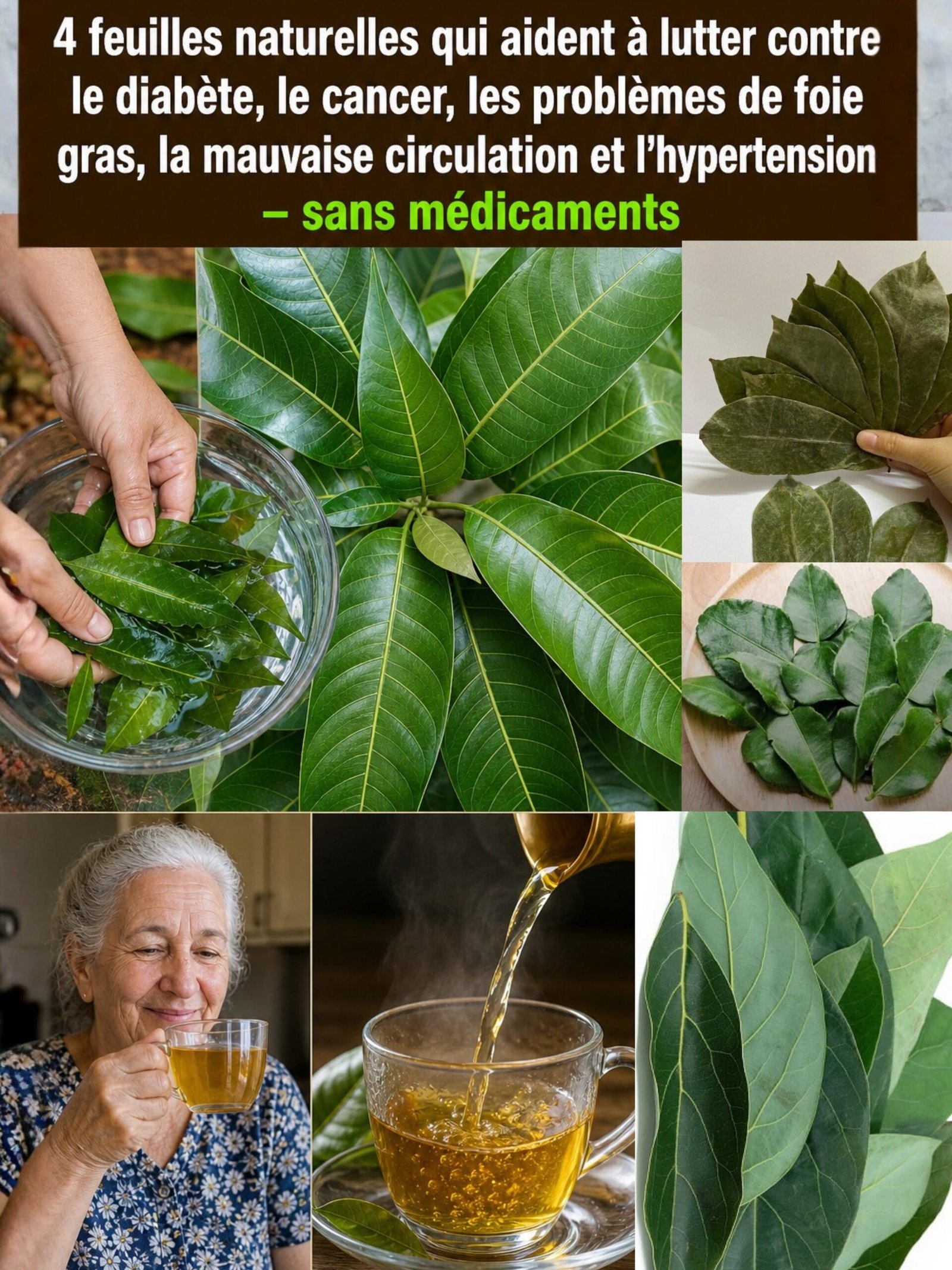 N'IGNOREZ PLUS CES 4 FEUILLES : Le Secret ANCESTRAL pour une Santé de Fer (Votre Corps Vous Remerciera !)