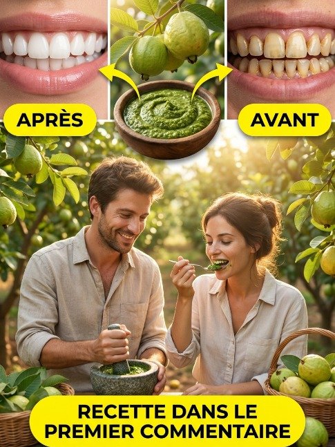 Le Secret Millénaire pour un Sourire Éclatant : 3 Remèdes aux Feuilles de Goyave que Personne Ne Vous Dit (et que Vous Devez Connaître MAINTENANT) ! 🍃🦷