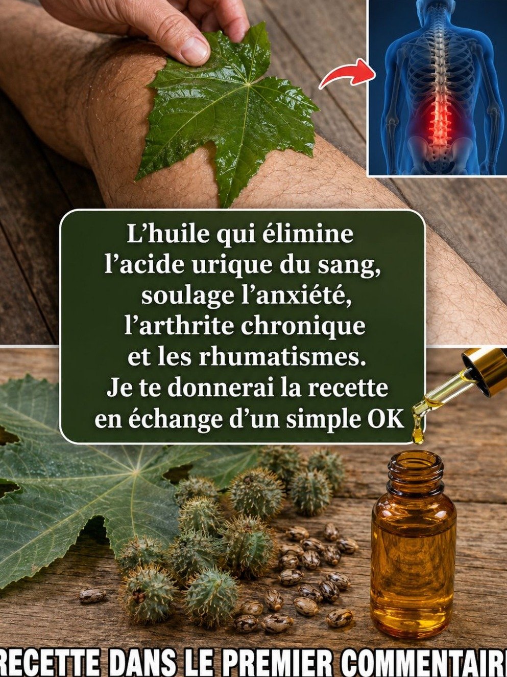 Le Ricin : Le Secret Caché Dans Votre Jardin Qui Transformera Votre Vie (Et Que Vous Ignoriez!)