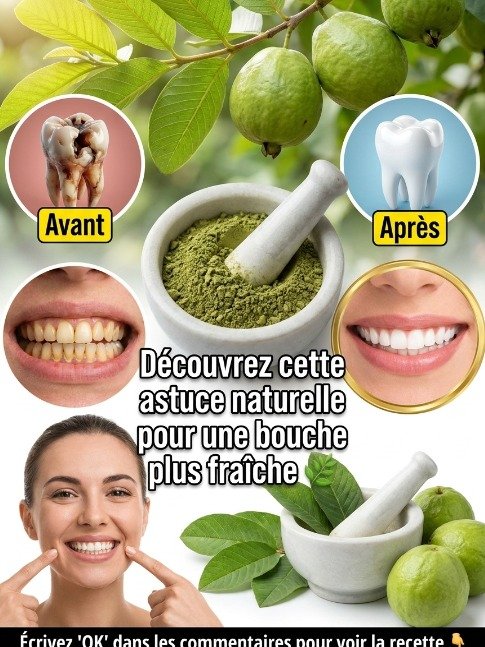 Le Secret Oublié pour des Dents Saines : 3 Remèdes aux Feuilles de Goyave qui Vont Éradiquer Vos Caries !
