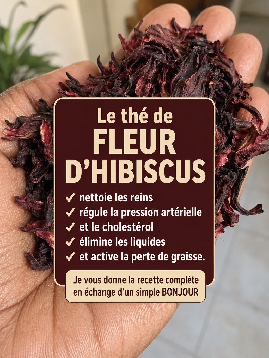 Le Secret Bien Gardé de l'Hibiscus : Comment une Simple Infusion Peut Transformer Vos Reins, Votre Tension et Votre Silhouette !