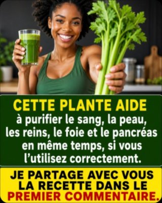 Le Secret Oublié du Jus de Céleri : Ce Que 90% des Gens Font Mal (Et Comment Révolutionner Votre Énergie Dès Demain)