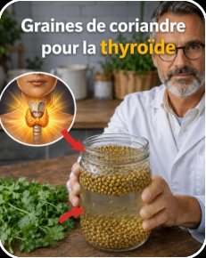Le Secret Oublié de votre Thyroïde : Cette Habitude SIMPLE avec la Coriandre que Vous Manquez Absolument !