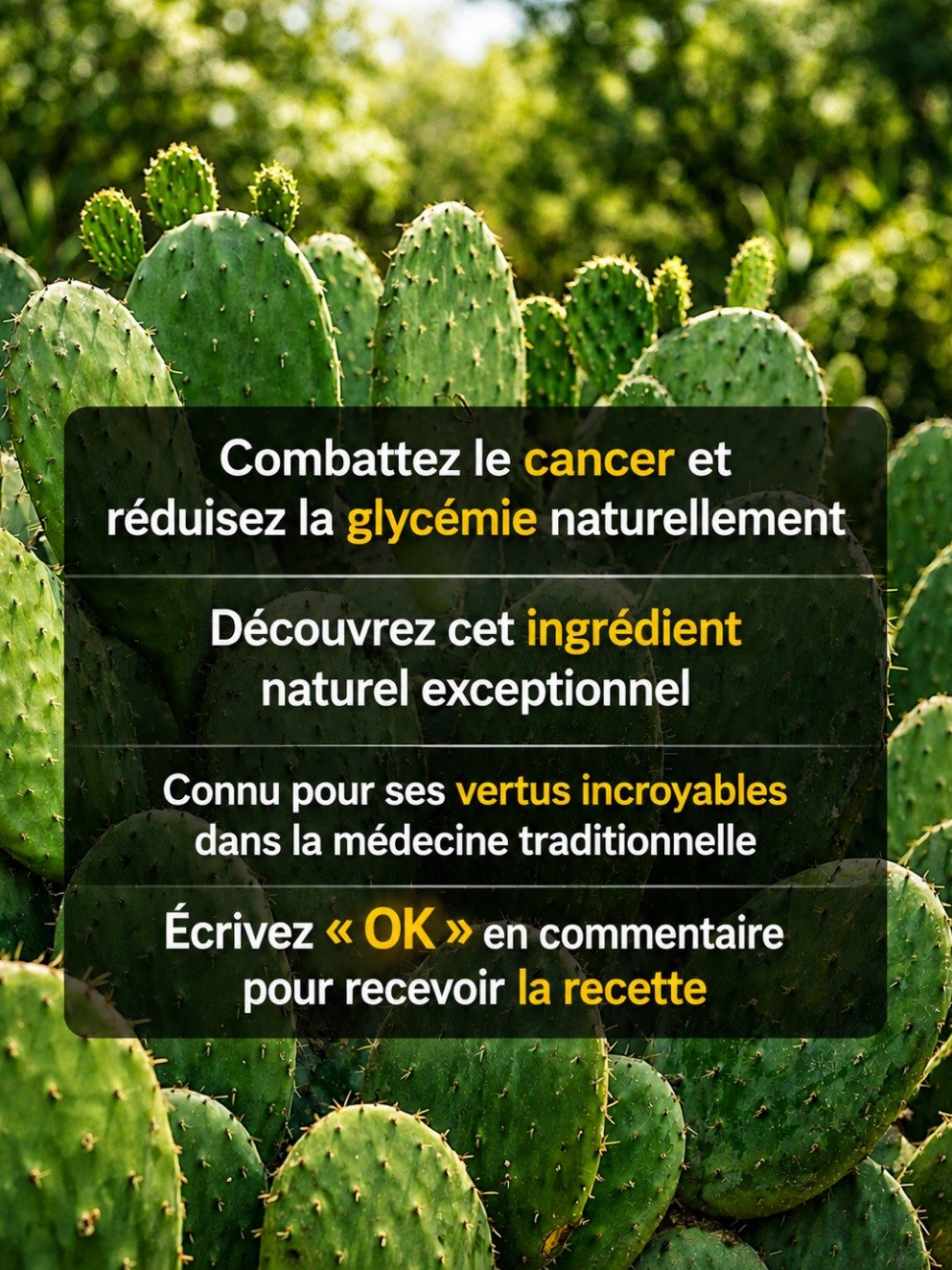 Le Secret du Désert Révélé : Ce Cactus Millénaire Cache 5 Bienfaits Incroyables pour Votre Santé (Ne PAS ignorer !)