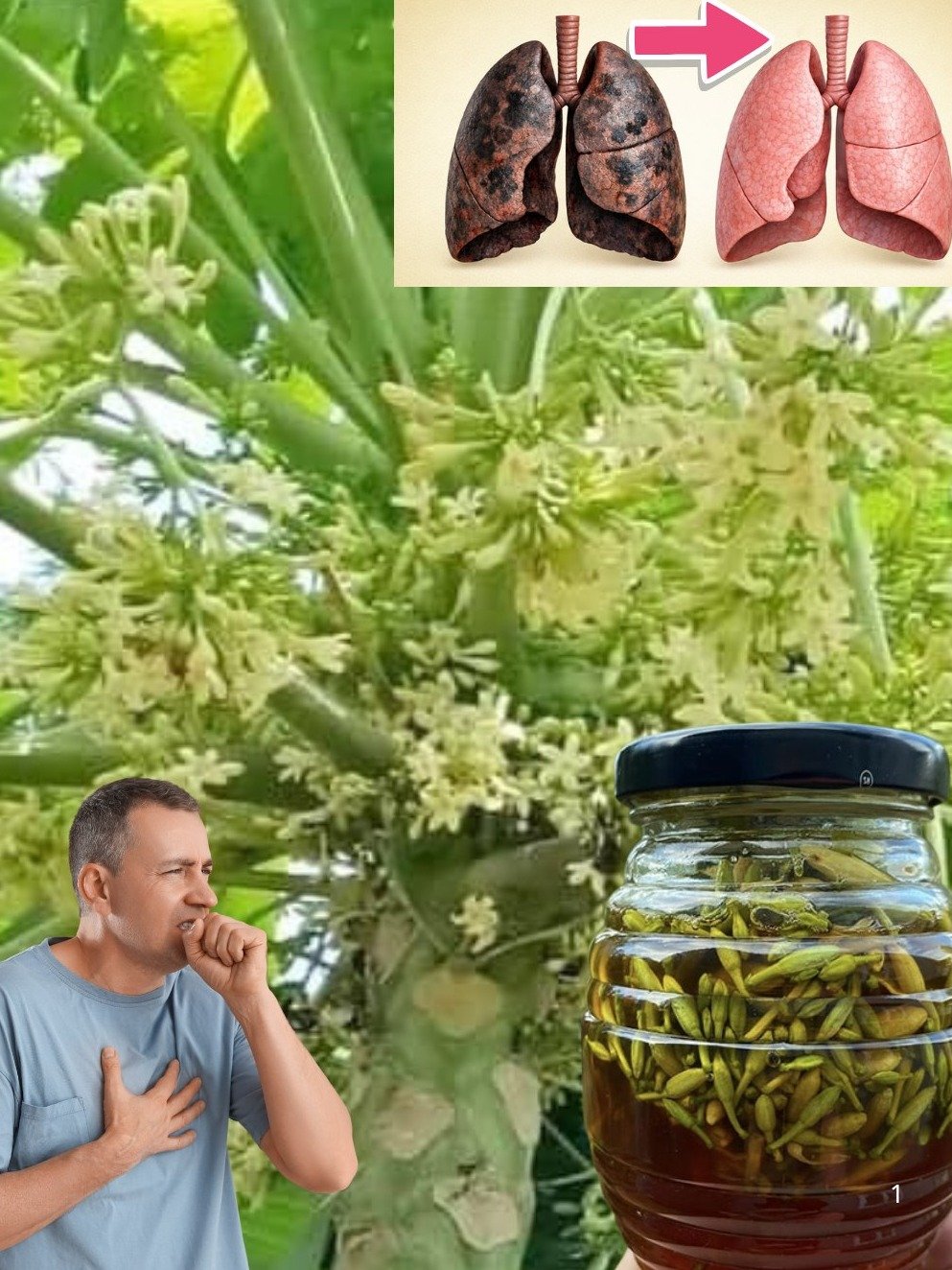 Le Secret Anti-Âge Ultime ? 17 Bienfaits Insoupçonnés des Fleurs de Papayer pour Briller Après 30 Ans !