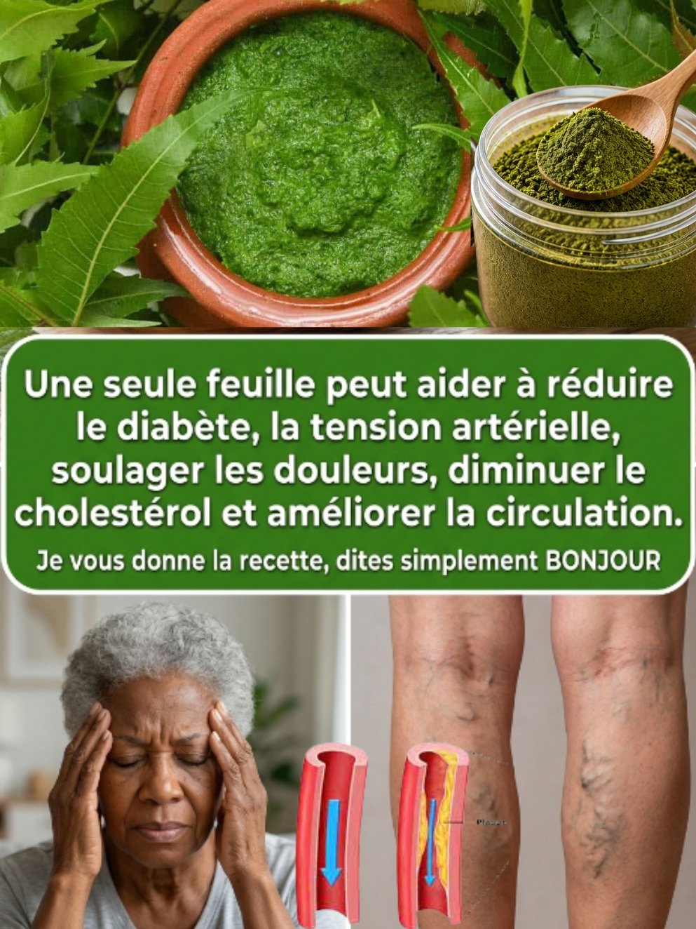 Le Secret Révélé de la 'Feuille Miracle' : Ce Que Vous DEVEZ Savoir Avant de l'Utiliser (Et Ses Dangers Cachés !)