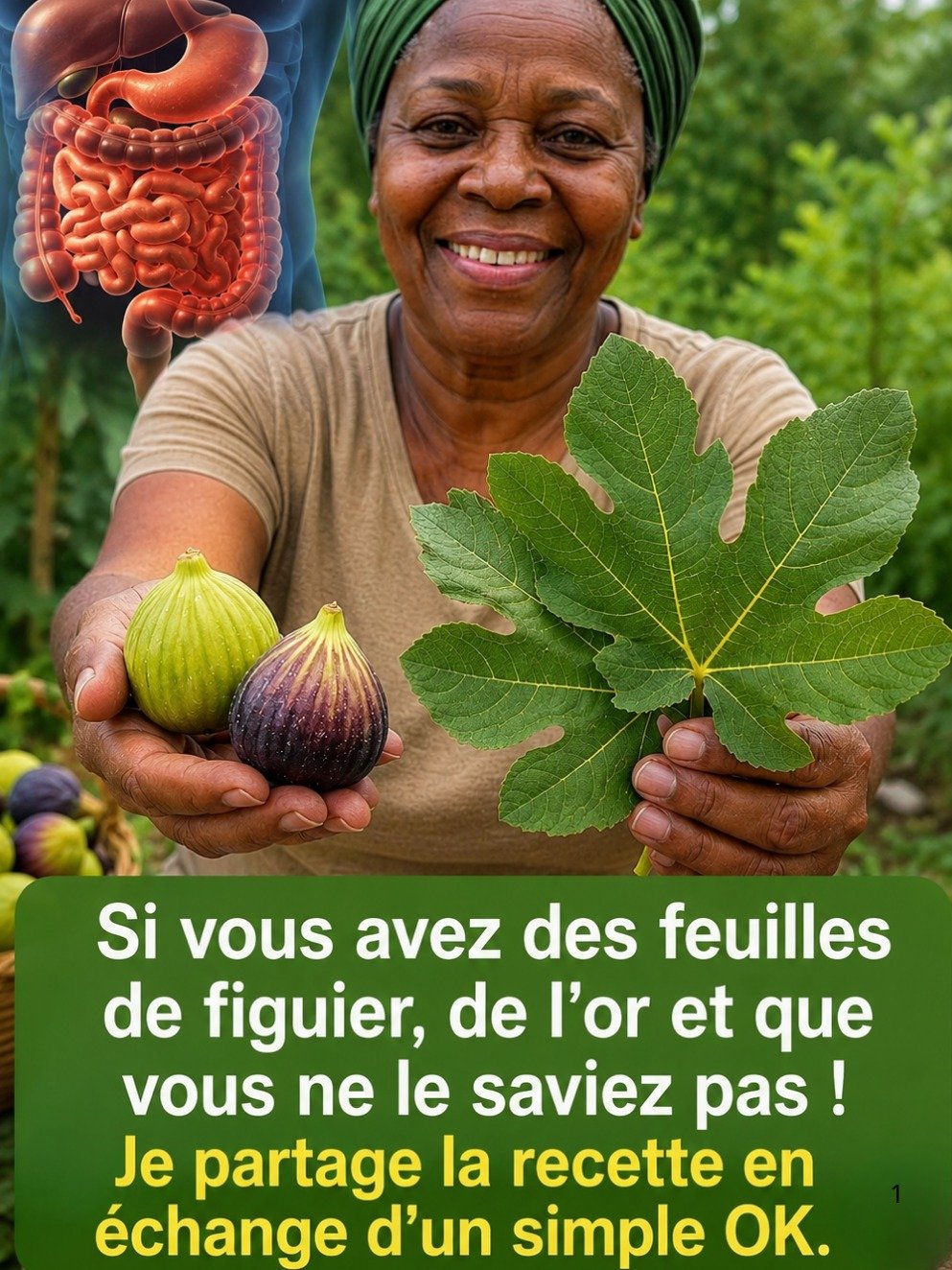 Oubliez le Fruit ! Les Feuilles de Figuier Cachent des Secrets Incroyables : 7 Façons Simples de Révolutionner Votre Bien-Être Dès Aujourd'hui !