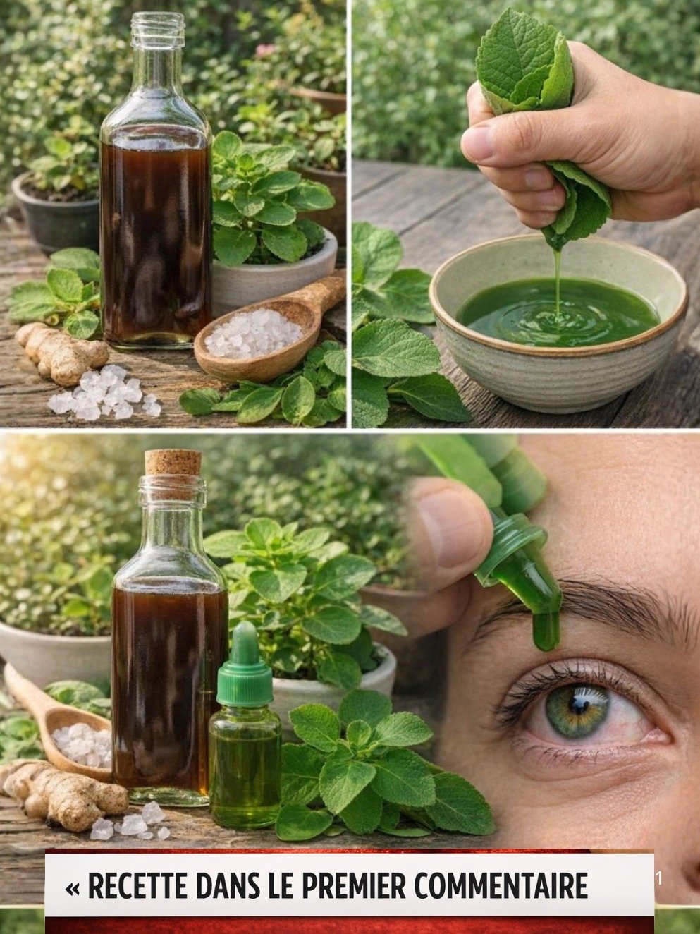Fatigue Oculaire Chronique? Découvrez la Plante Méconnue Qui Va Révolutionner Votre Vision en SEULEMENT 7 Jours!