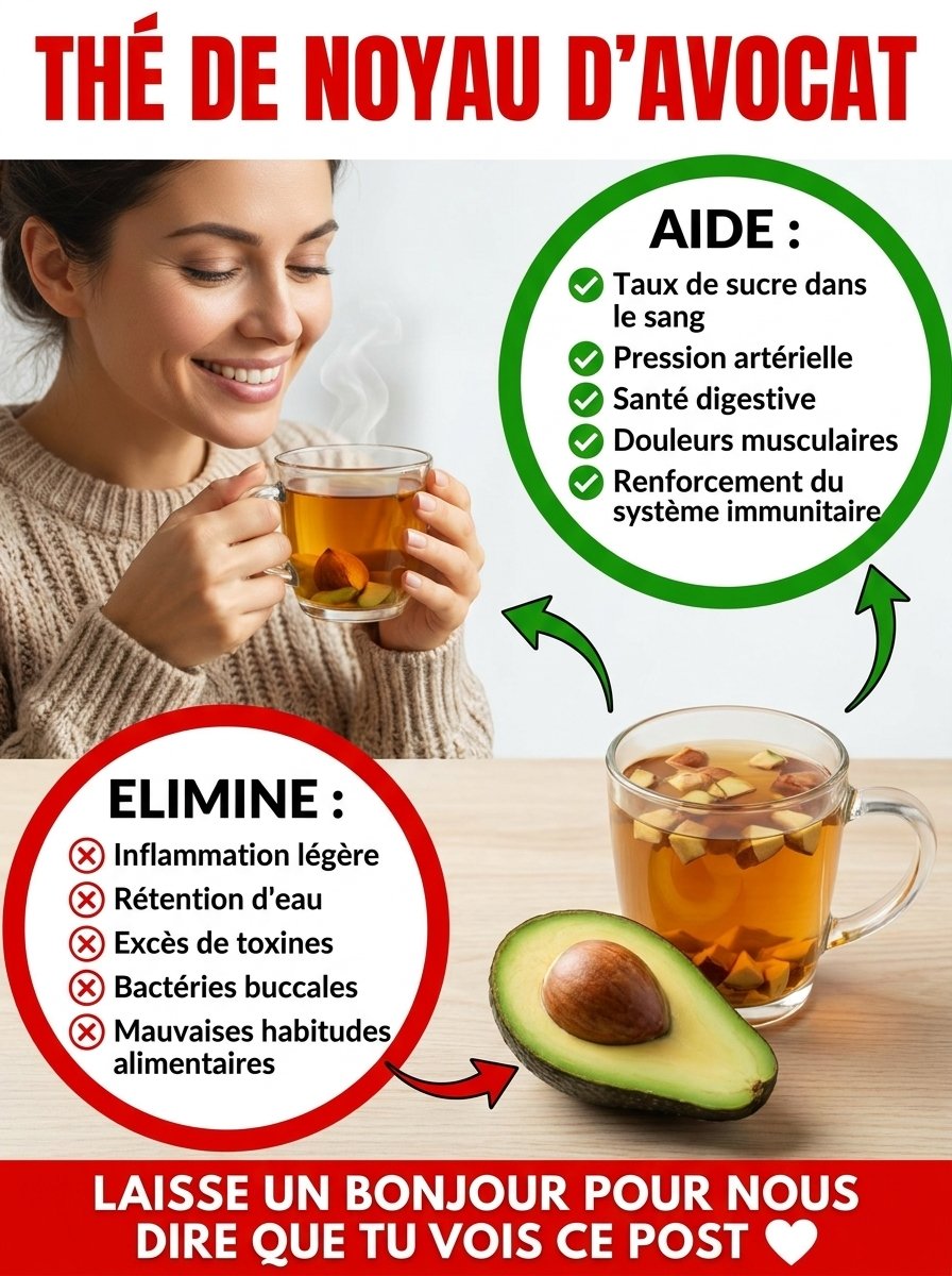 Le Secret Anti-Âge et Minceur Caché au Cœur de Votre Avocat : Ne Jetez PLUS Jamais Son Noyau ! Découvrez les Bienfaits Incroyables de son Thé.