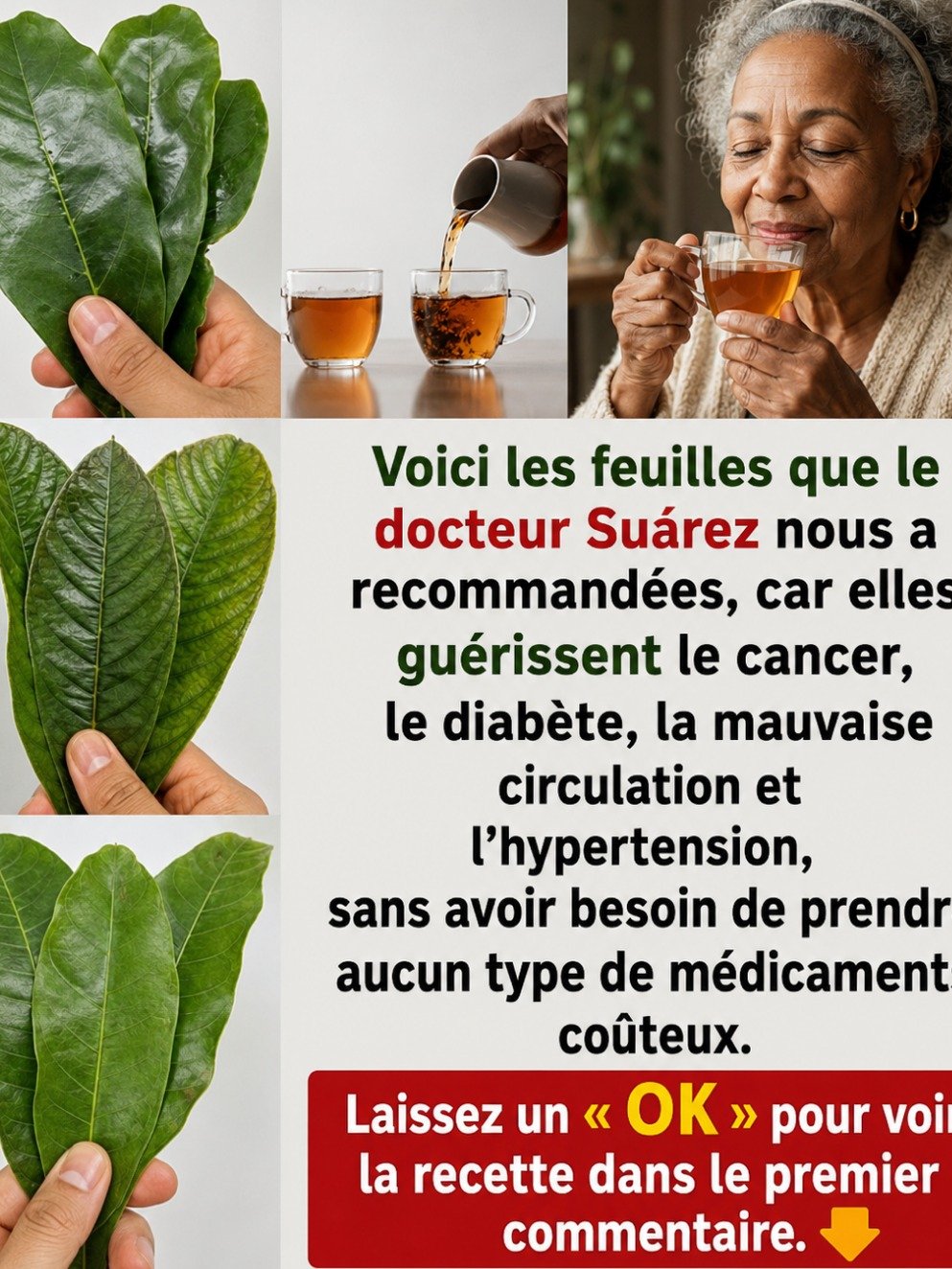 Le Secret Ancien Révélé : Ces Feuilles de Corossol Peuvent Réinventer Votre Santé – Ne Manquez Pas Ces 4 Recettes Essentielles !