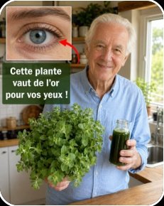 Le Secret Oublié de nos Grands-Mères pour une Vision Éclatante : Cette Plante Va Révolutionner Votre Regard !