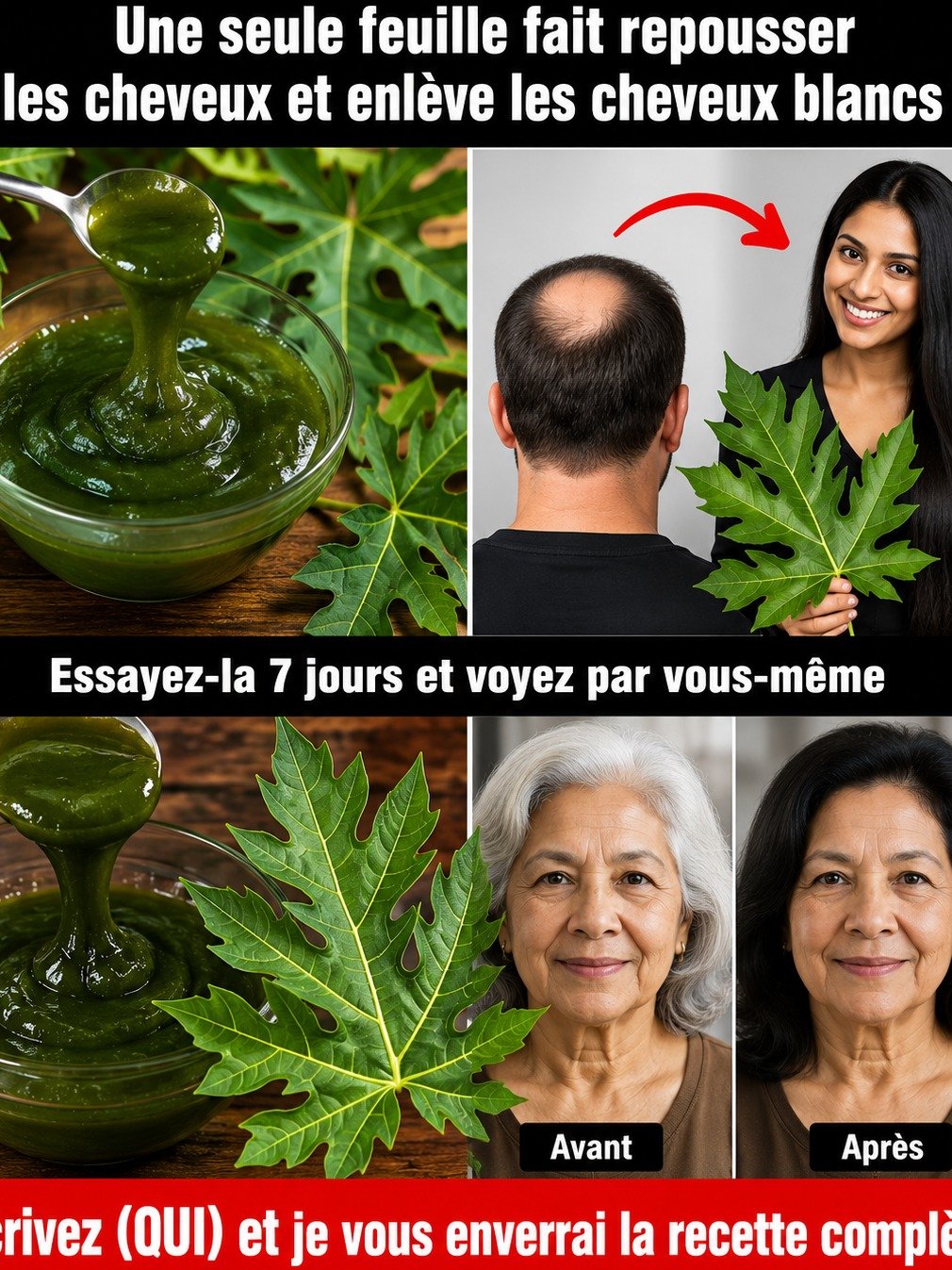 Le Secret Oublié des Cheveux de Rêve : 7 Bienfaits des Feuilles de Papaye que Vous Devez Connaître ABSOLUMENT (Avant qu'il Ne Soit Trop Tard !)