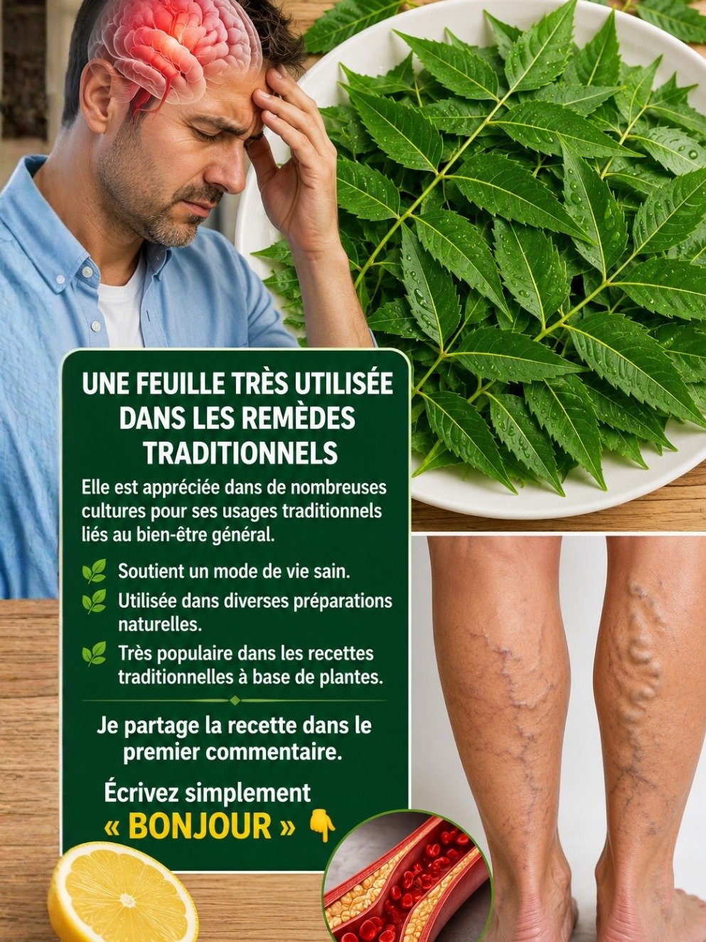 Le Secret Millénaire Révélé : Les Feuilles de Neem, Votre Alliée Insoupçonnée pour une Santé de Fer ! (Ne Manquez Pas Ça)