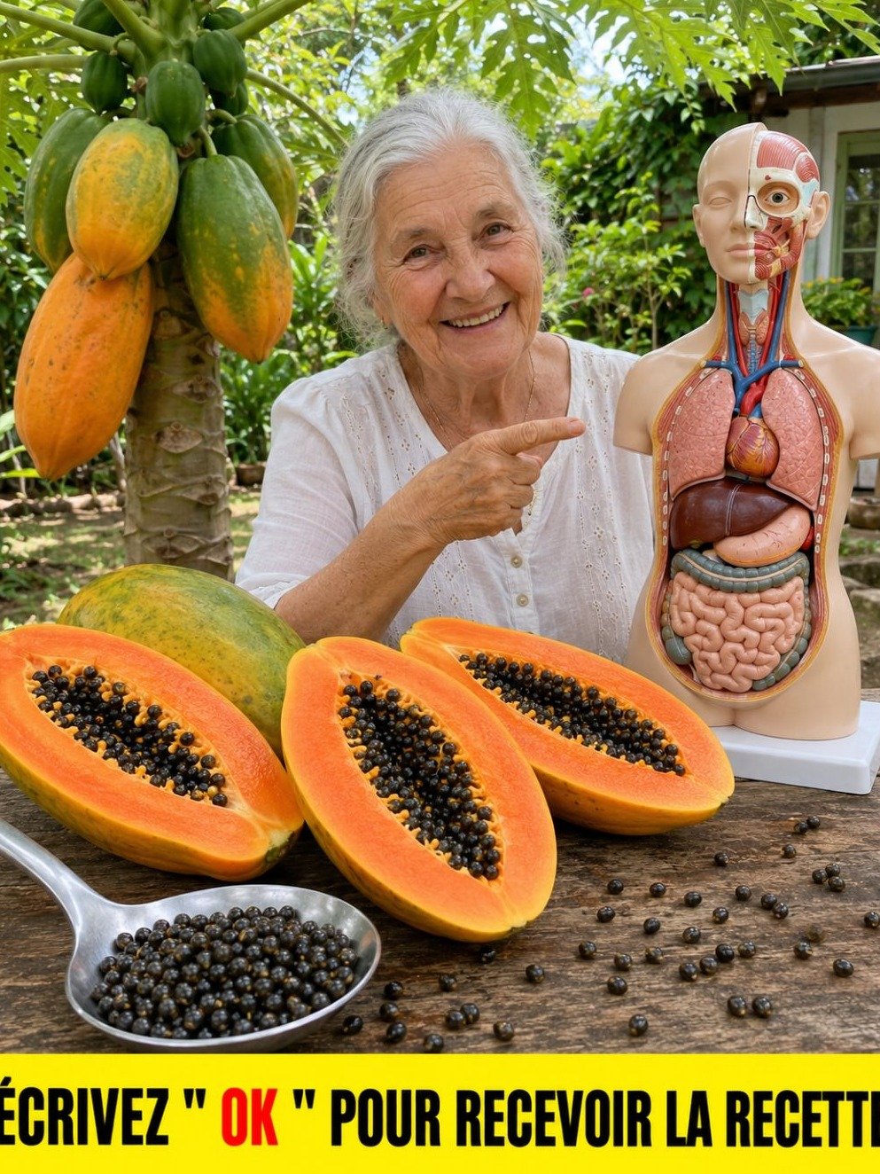 Révélation choc : Pourquoi de plus en plus de gens mâchent ces 4 graines de papaye chaque jour (et pourquoi vous devriez commencer AUJOURD'HUI !) 🌿
