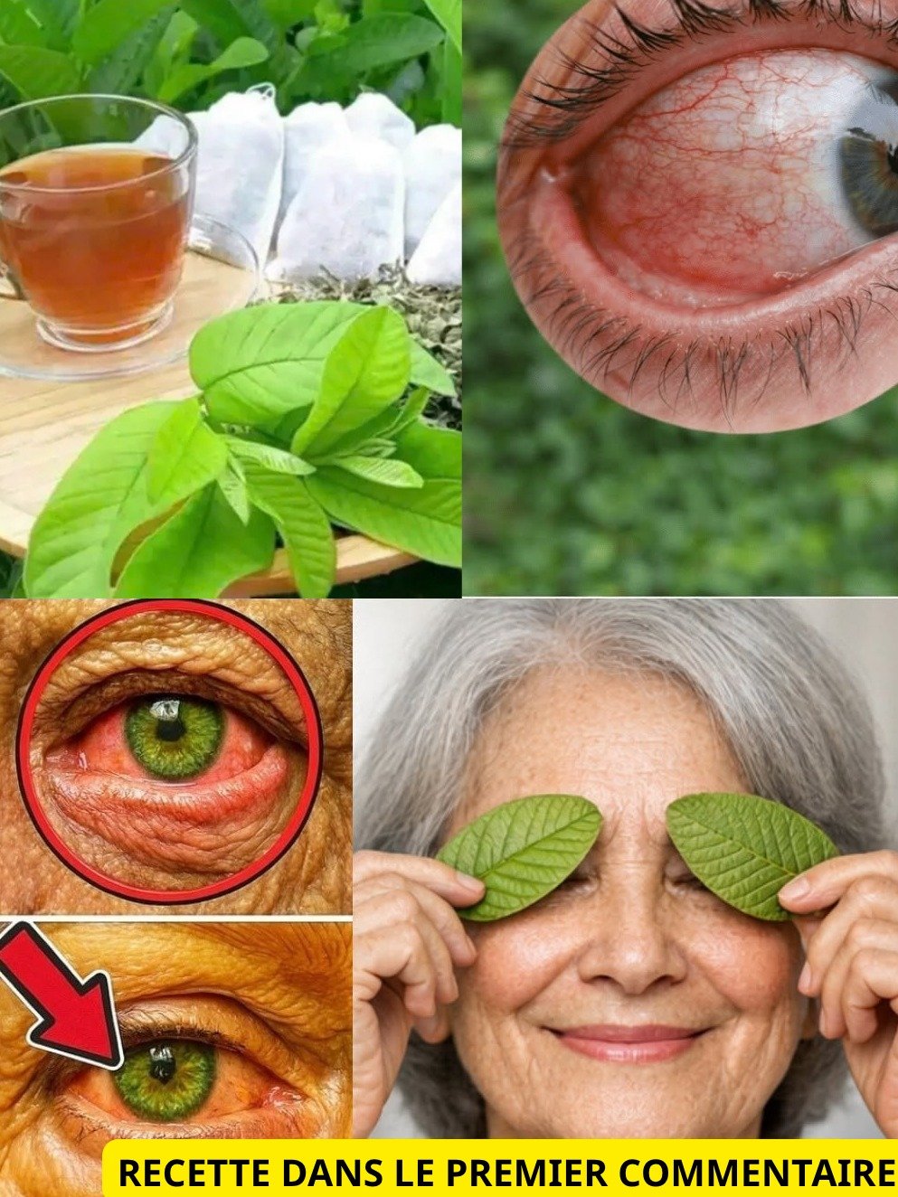 Oubliez Tout ! Ce Fruit Tropical Cache LE Secret Pour Des Yeux Éclatants et Sans Fatigue (Vous Ne Le Croirez Pas) !