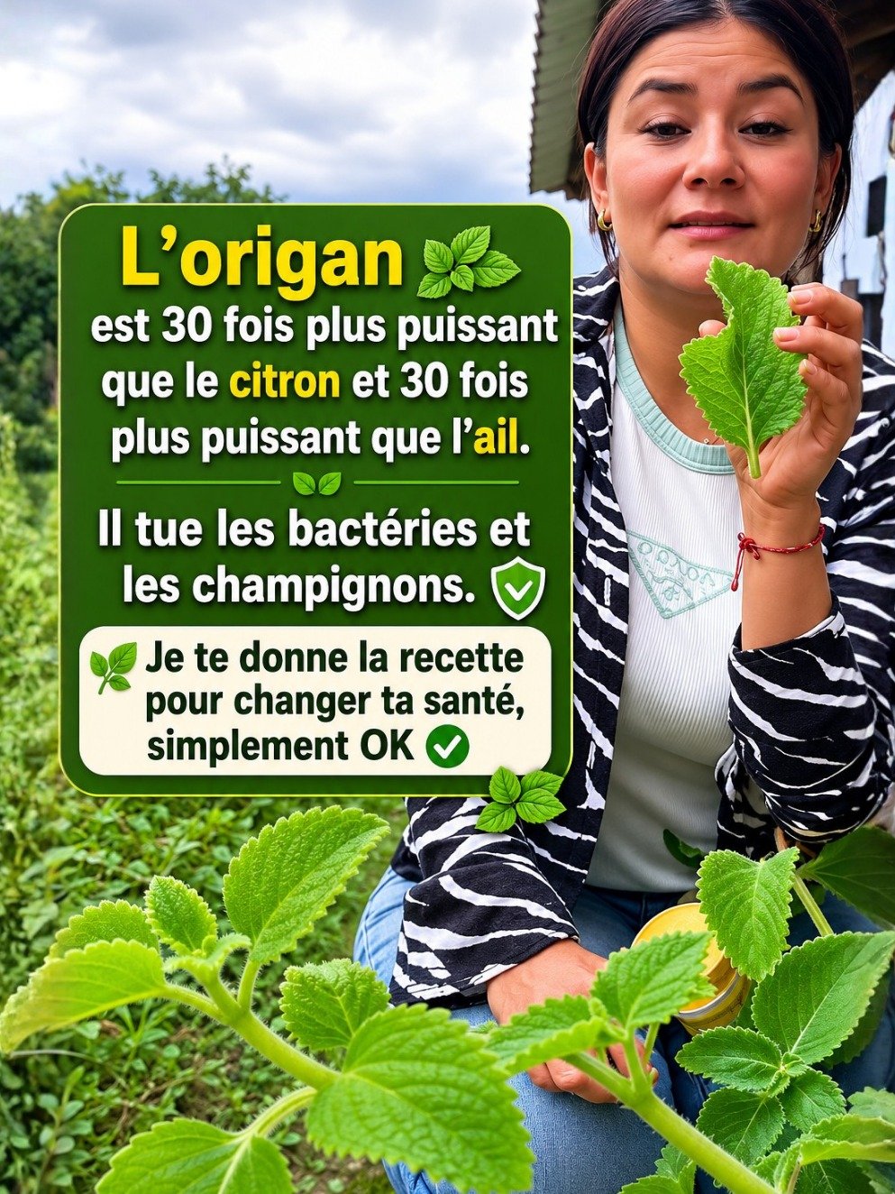 Le Secret Millénaire pour une Santé de Fer : Pourquoi TOUT LE MONDE Devrait Boire Cette Infusion d'Ail et d'Origan IMMÉDIATEMENT !
