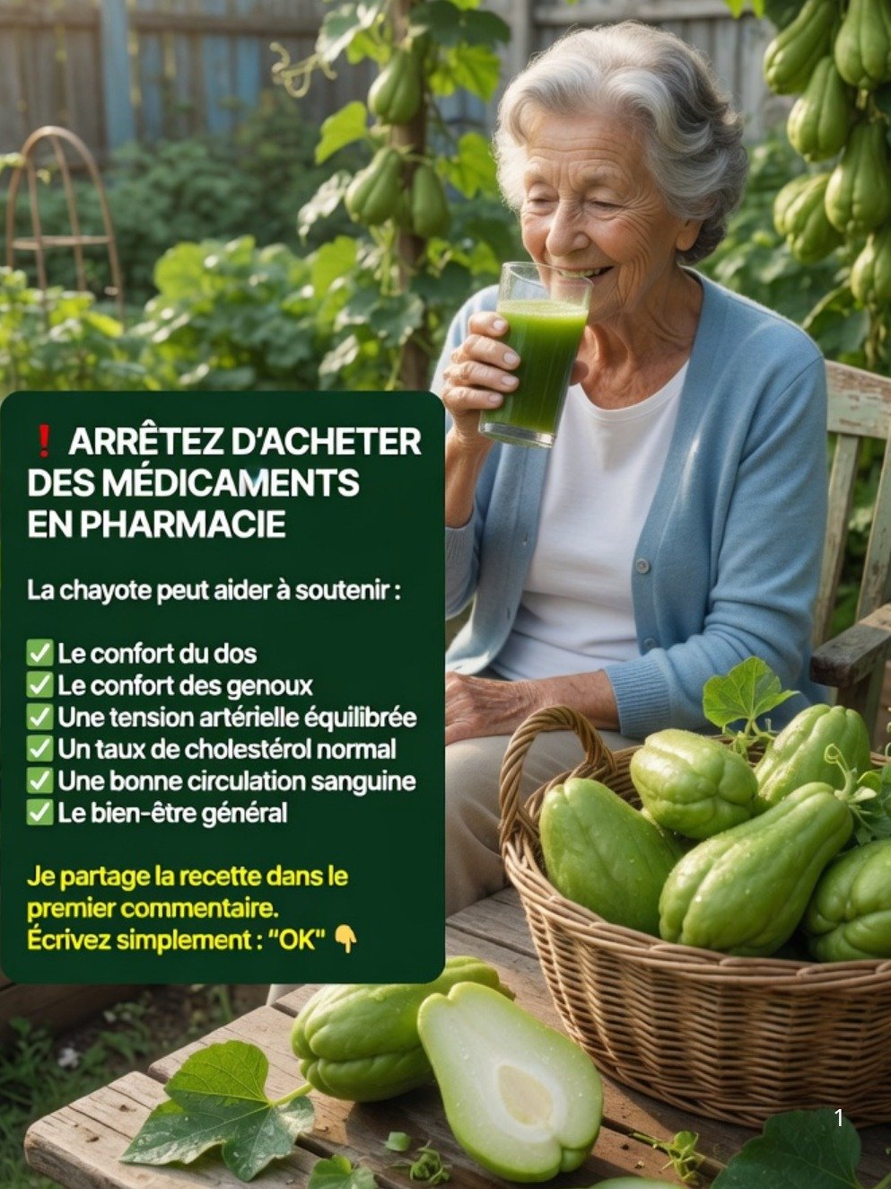 Le Secret Végétal Oublié : 7 Façons Incroyables dont la Chayote Va Transformer Votre Corps et Votre Énergie (Ne Manquez Pas Ça !)