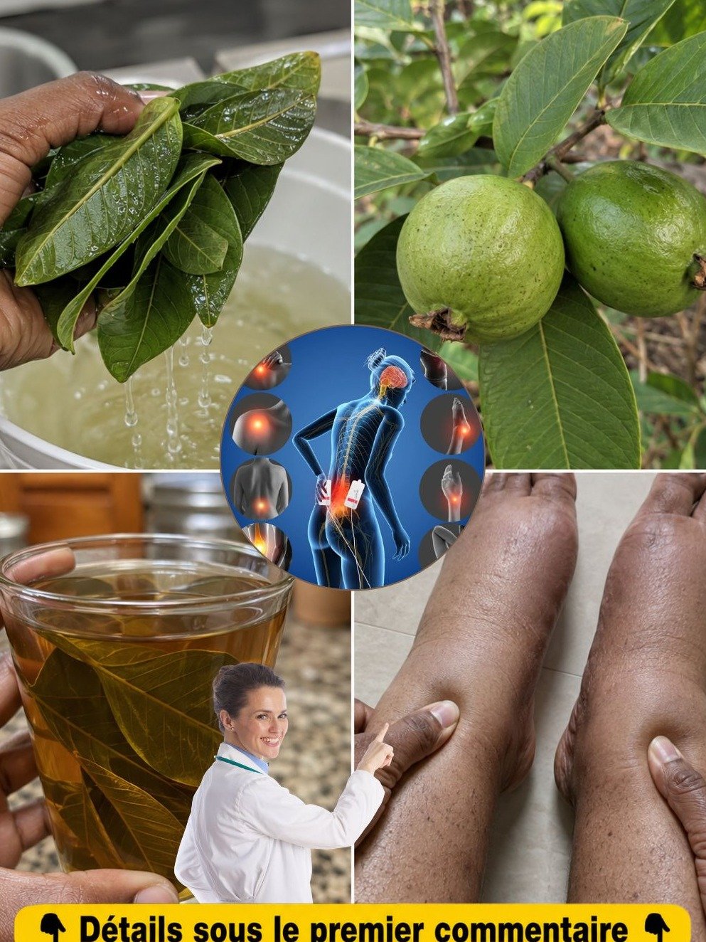 RÉVÉLATION SANTÉ : 17 Secrets Étonnants du Thé aux Feuilles de Goyave que Personne Ne Vous Dit (À Boire 2 Fois par Semaine pour Tout Changer !)