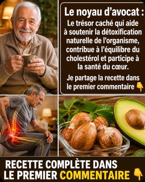 Ne Jetez PLUS Jamais les Feuilles d'Avocat ! 5 Secrets Insoupçonnés et une Recette Miraculeuse pour Votre Santé