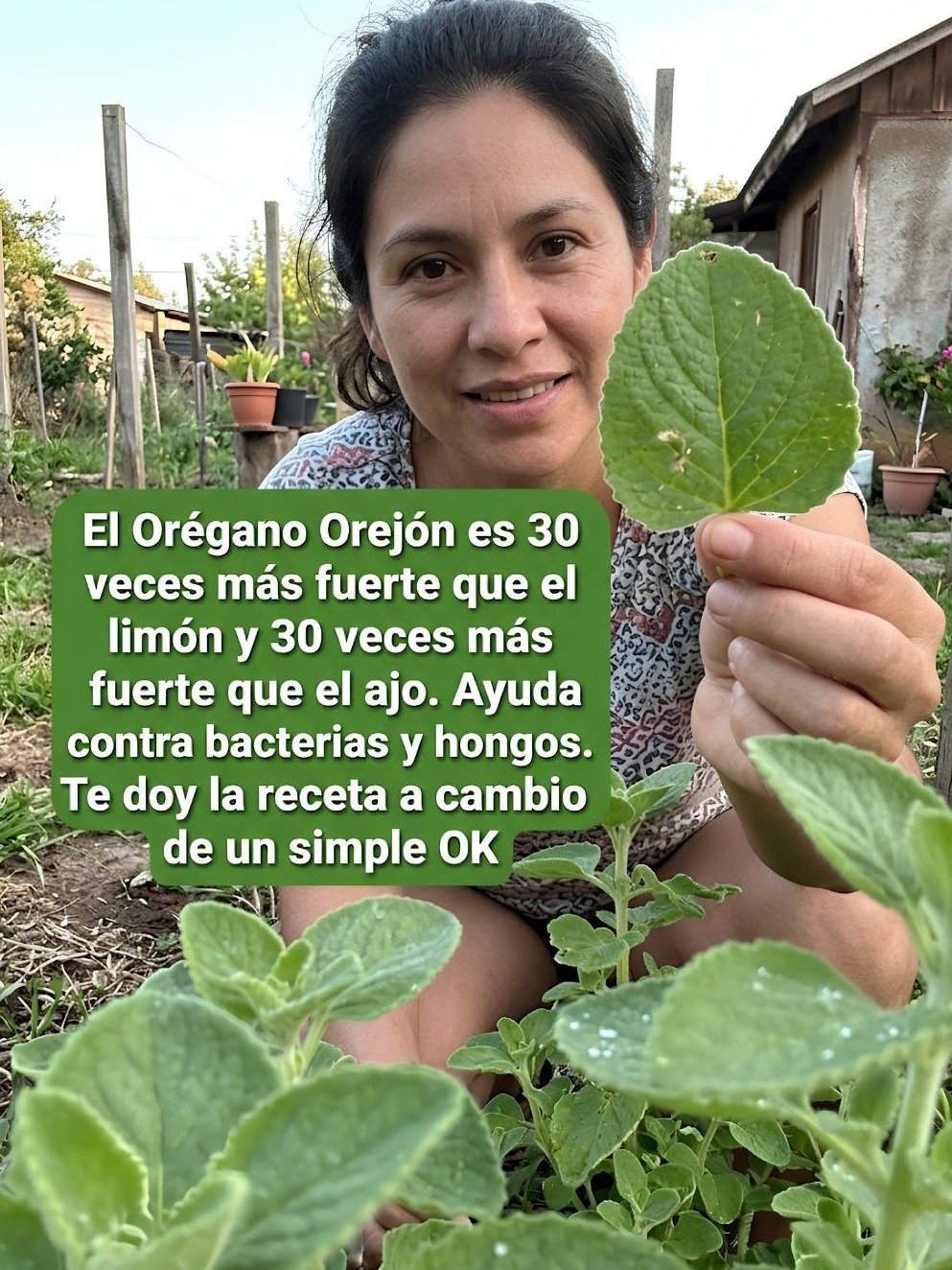 Le Secret Millénaire pour une Santé de Fer : Cette Infusion Ail, Cannelle et Origan Va Révolutionner Votre Corps de l'Intérieur (Ne Manquez Pas Ça !)