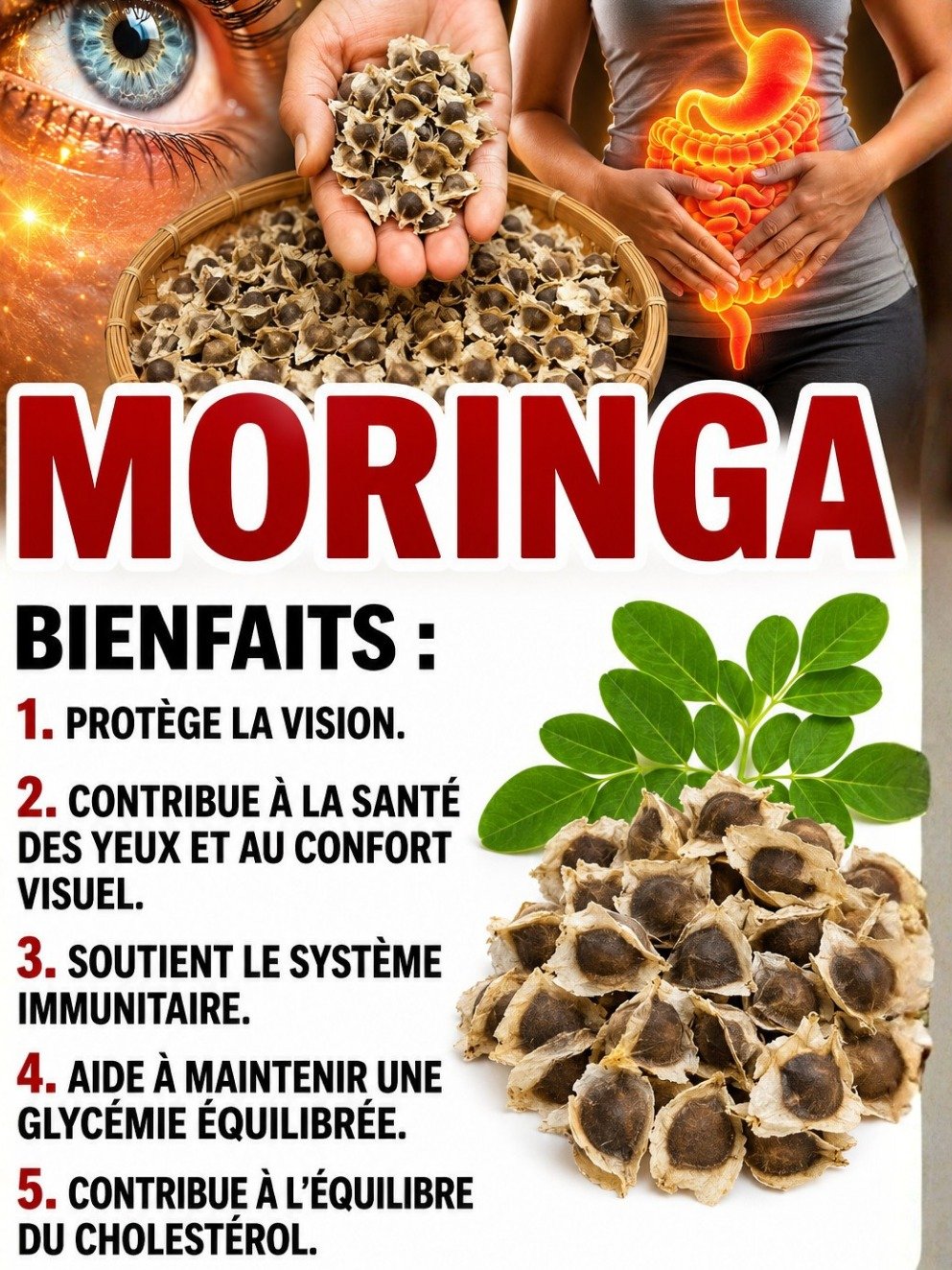 Le Superaliment Ancien Que Votre Corps Réclame : 7 Secrets des Graines de Moringa Que Vous Devez Connaître MAINTENANT !