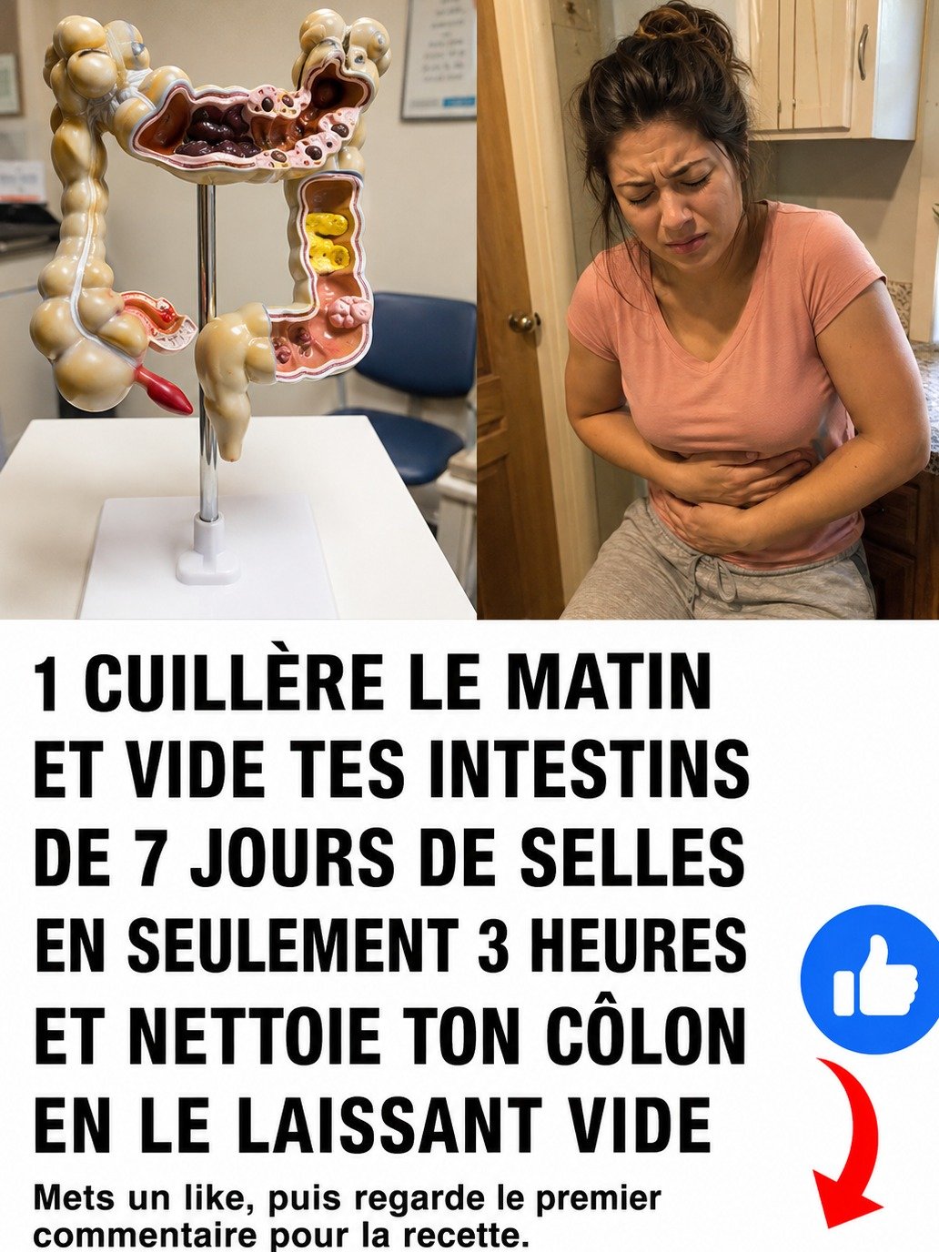 Fatigue, Ballonnements, Peau Terne ? 10 Super-Aliments Insoupçonnés Pour Révolutionner Votre Côlon et Votre Énergie !