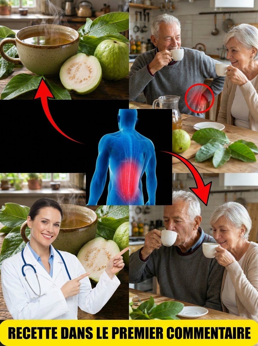 Le Secret Oublié Qui Va Révolutionner Votre Santé : 7 Pouvoirs Insoupçonnés Du Thé De Feuilles De Goyave À Boire DÈS MAINTENANT !