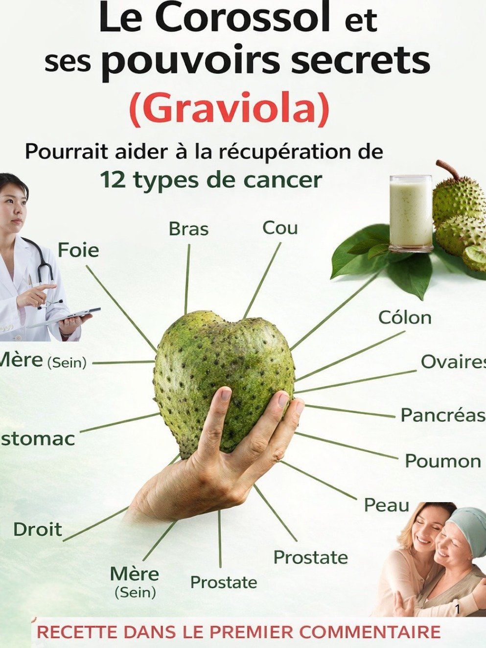 Le Corossol : Le Fruit Tropical aux 20 Pouvoirs Cachés Contre le Cancer (Une Révélation à Ne Pas Manquer) !