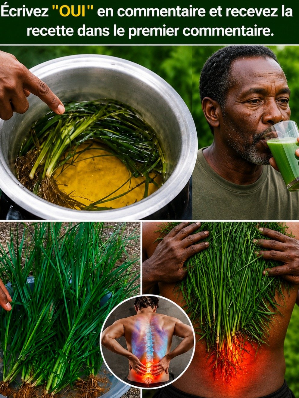 Le Secret Viral de Cette Plante Sauvage : Dégonflez, Drainez et Rajeunissez Votre Peau Naturellement (Ne Manquez Pas Ça !) 🌿