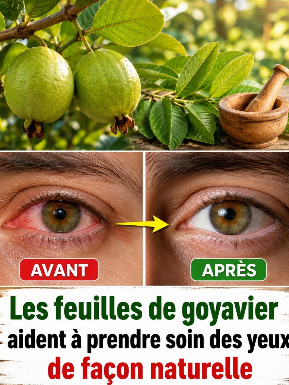 Le Secret Oublié pour des Yeux Éclatants : Comment les Feuilles de Goyavier Vont Révolutionner Votre Routine !