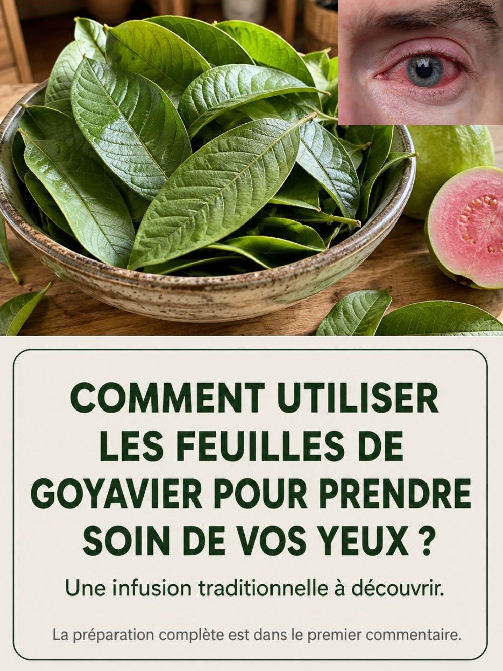 Le Secret Millénaire pour une Vision d'Aigle Révélé : Cette Infusion de Goyavier Va Changer Vos Yeux à Jamais !