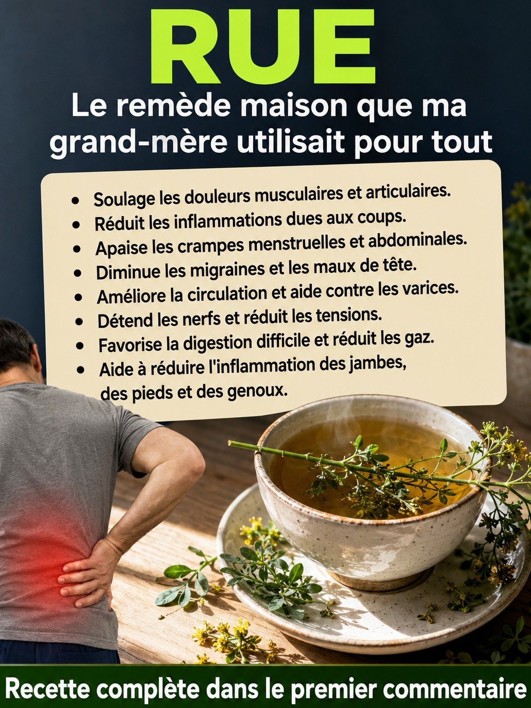 Le Secret Millénaire Contre les Douleurs Articulaires et Musculaires : 3 Recettes de Ruda Qui Vont Vous Étonner !