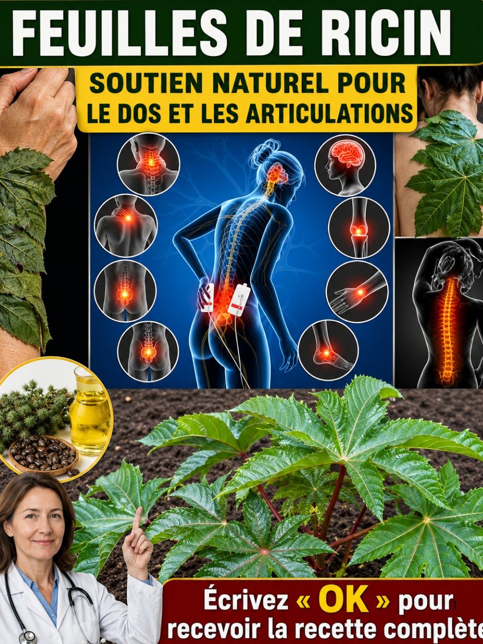 Le TRÉSOR OUBLIÉ de votre jardin : 10 secrets des feuilles de ricin qui vont CHANGER votre vie (et que vous ignorez) !