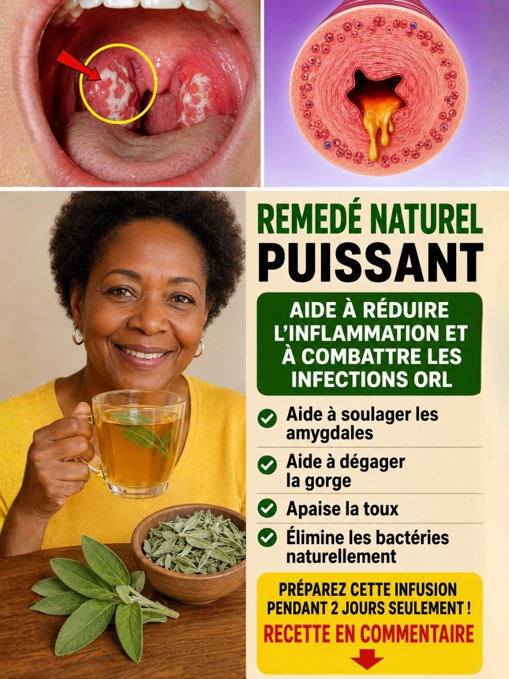 STOP au Mucus Tenace ! Découvrez le Secret Ancestral de la Sauge pour Libérer Instantanément Vos Poumons, Nez et Gorge.