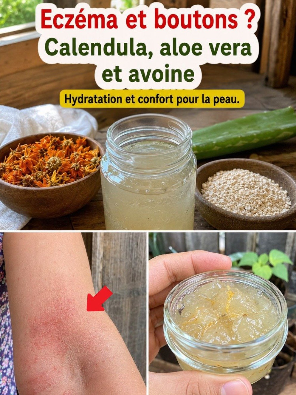 Le Secret Anti-Eczéma Révélé : 2 Recettes Naturelles ÉPOUSTOUFLANTES au Calendula, Aloe Vera et Avoine pour une Peau Sereine INSTANTANÉMENT !