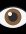 Ne Laissez Pas Vos Yeux S'Éteindre : Le Vrai Secret de l'Arbre de la Vision et 4 Recettes Naturelles Révélées !