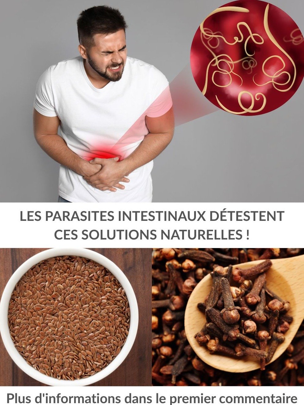 Le Secret Caché pour un Côlon Impeccable : Comment les Clous de Girofle et Graines de Lin Vont Révolutionner Votre Digestion et Éradiquer les Parasites !
