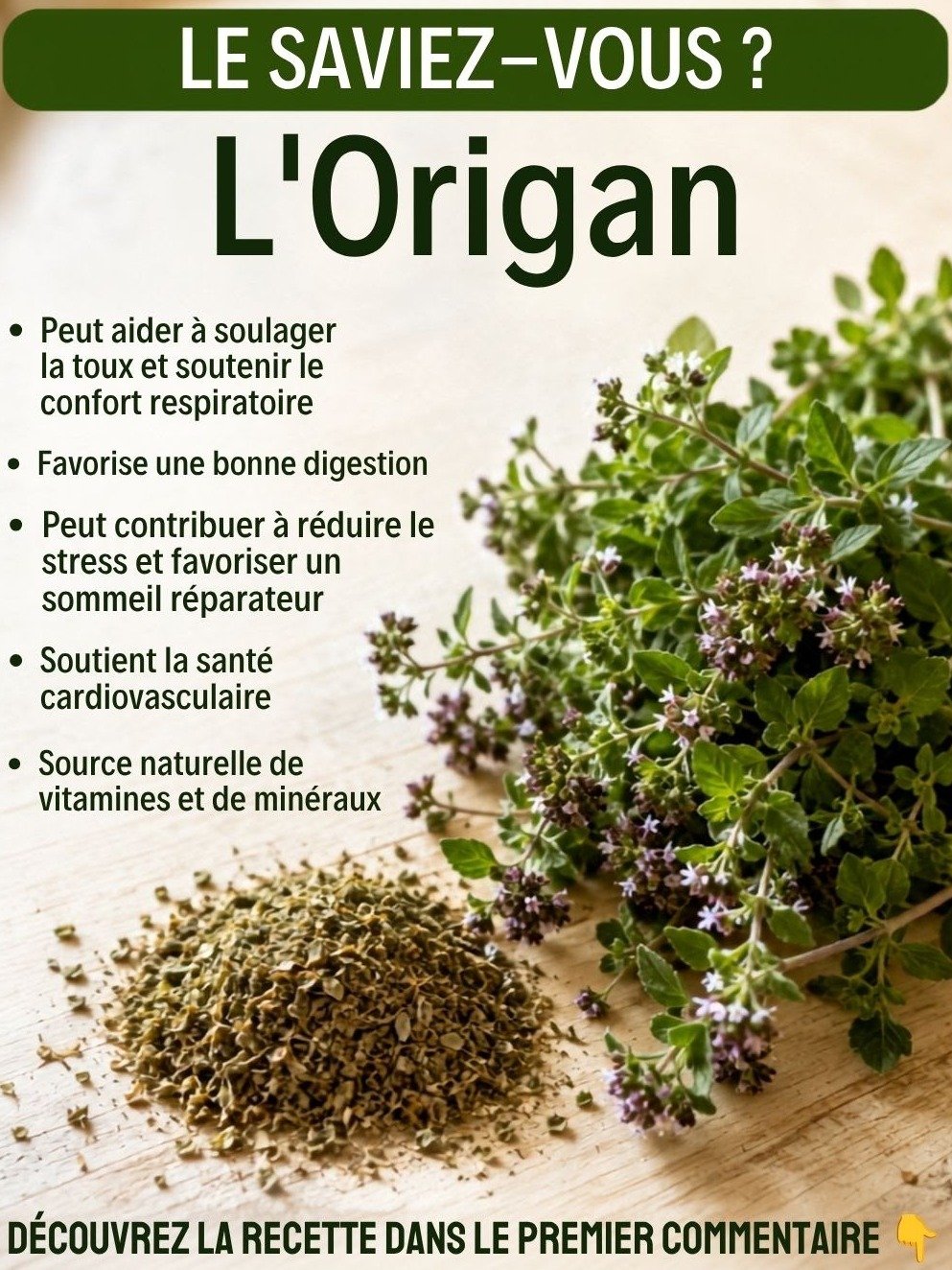 Le Secret Millénaire de l'Origan : Découvrez Comment Cette Plante Va Révolutionner Votre Bien-être (Et Ce N'est Pas Juste pour Cuisiner !)