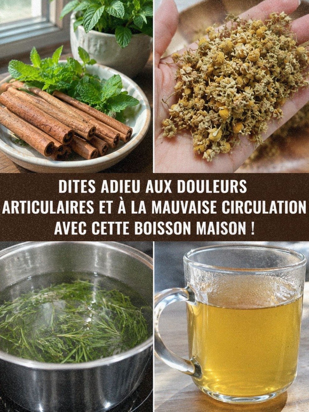 Le Secret Millénaire aux 3 Ingrédients qui Éradique l'Arthrite et Relance Votre Circulation en 21 Jours !
