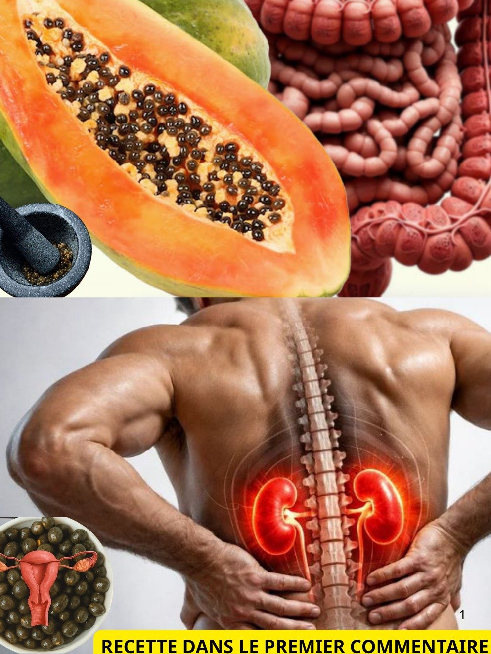 Ne Jetez PLUS Jamais Ça ! Le Secret Insoupçonné des Graines de Papaye Pour une Digestion de Rêve et Moins d'Inflammation