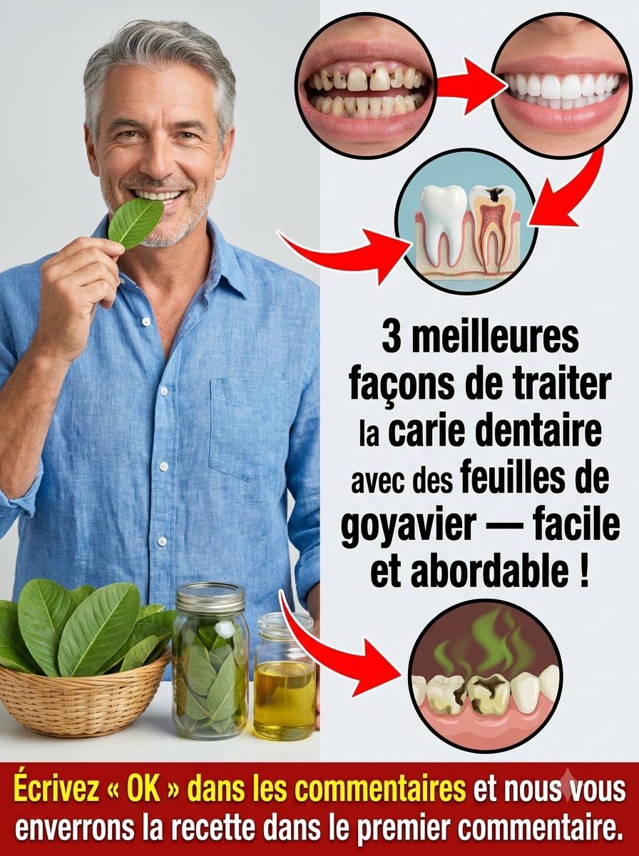 Ne Sous-estimez Jamais Ça ! 3 Astuces Simples avec les Feuilles de Goyavier pour Révolutionner Votre Santé Bucco-Dentaire Naturellement !