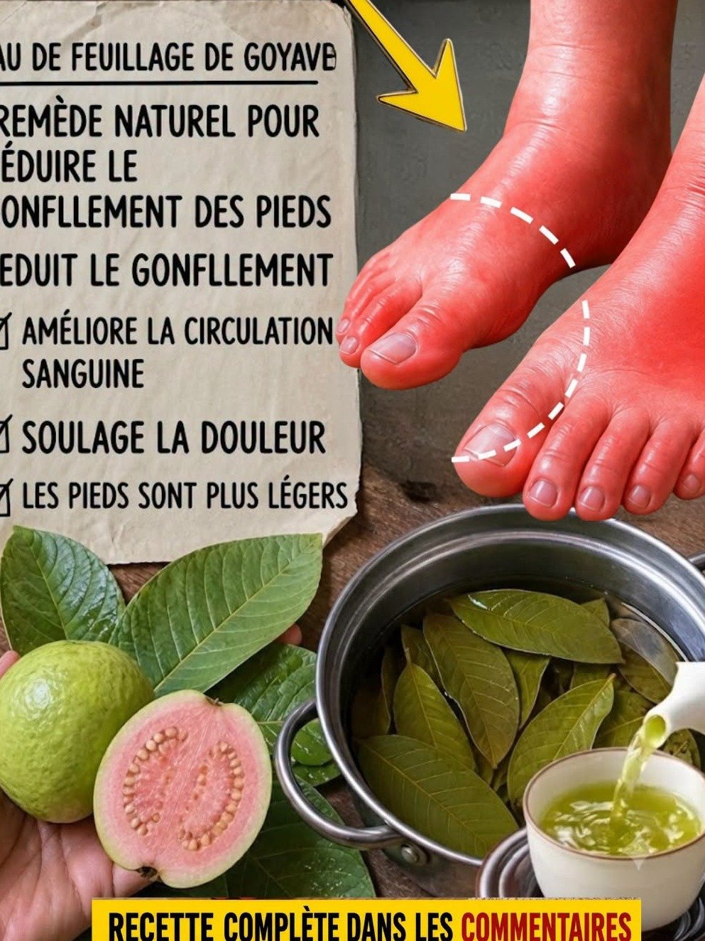 Le Trésor Caché de la Goyave : Ces Feuilles Oubliées Vont Révolutionner Votre Digestion et Votre Bien-être !