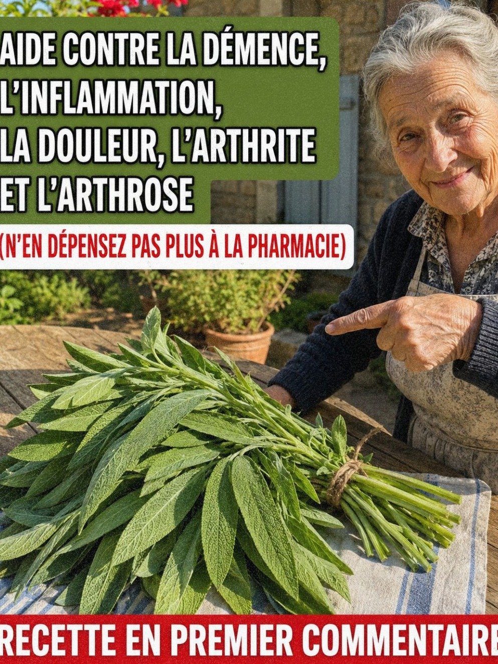Découvrez les 7 Secrets de Grand-Mère : Une Seule Plante de Sauge Peut TOUT Changer dans Votre Maison !